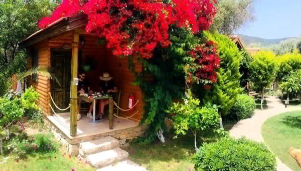 Boheme Ahşap Evleri